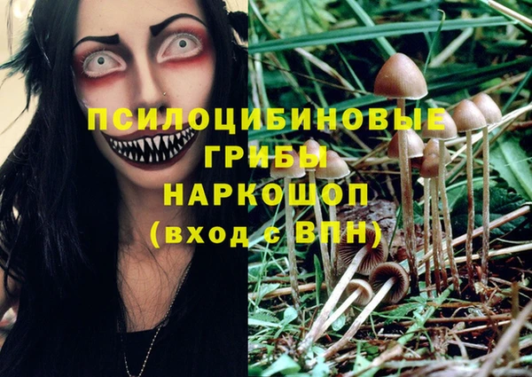 ECSTASY Алзамай
