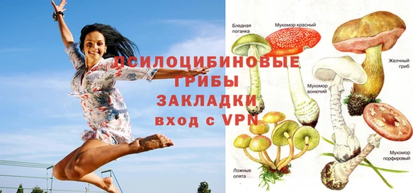 ECSTASY Алзамай