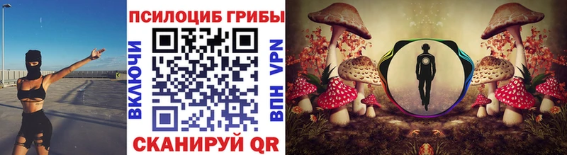 купить закладку мега ONION Псилоцибиновые грибы Magic Shrooms Ковылкино